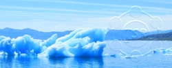 Watermarking examples with a border using TSR Watermark Image Software